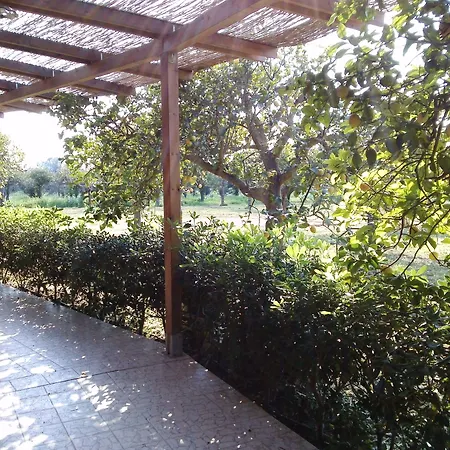 ホテル Felicia ノート