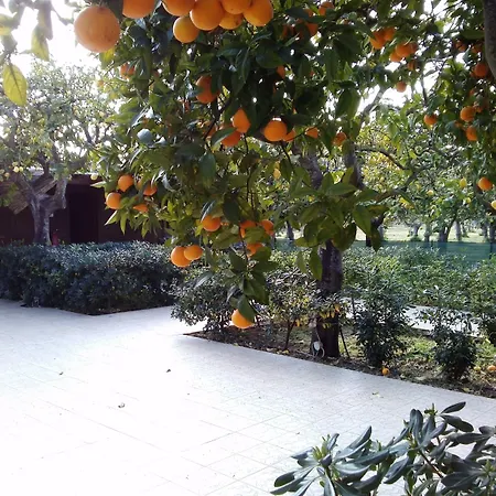 Felicia ホテル ノート