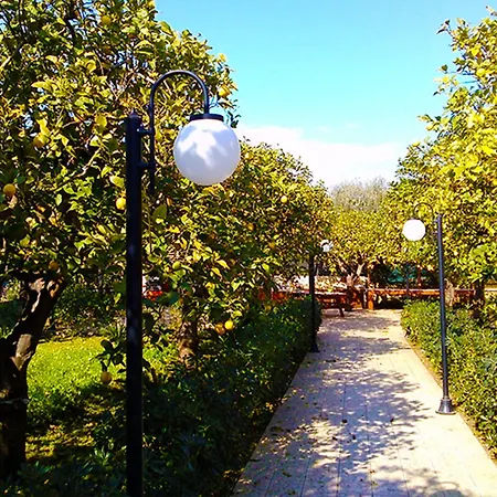 ホテル Felicia 3*