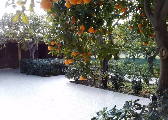 Felicia 호텔 노토